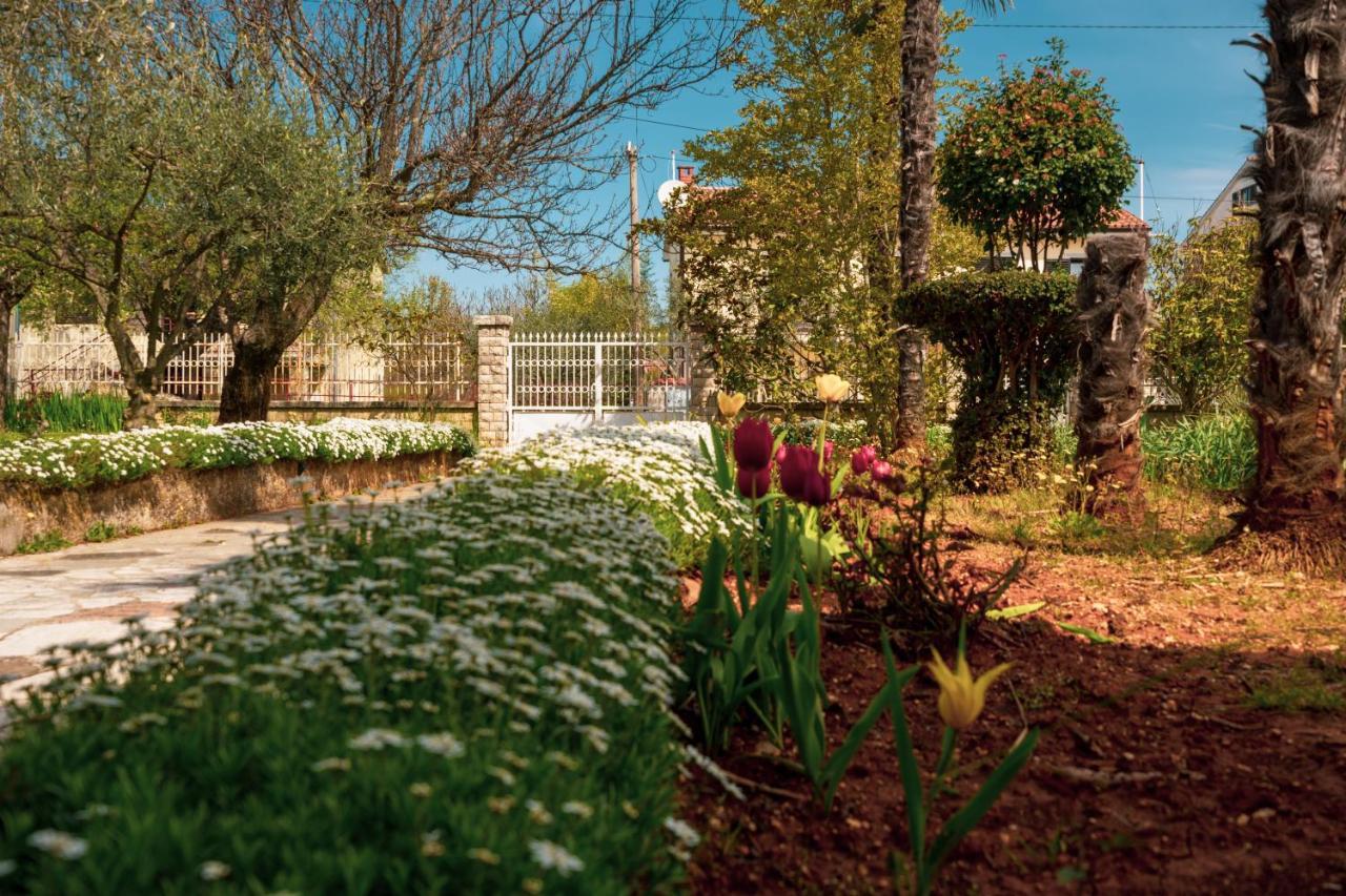 Apartment Villa Olga Poreč Exteriér fotografie
